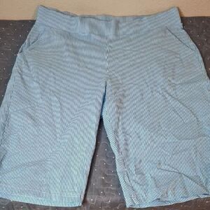 Donna Moore Blue Striped Shorts size 1X
